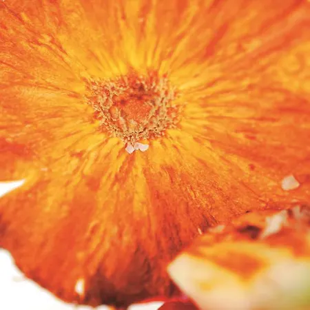 Radisson Hotel Haugesund