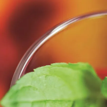 Radisson Hotel Haugesund