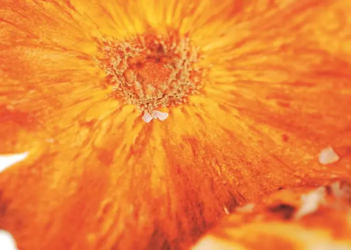 Radisson Hotell Haugesund