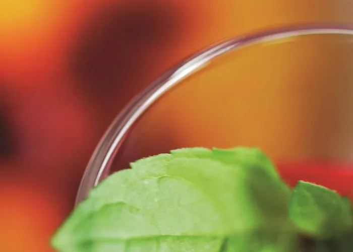 Radisson Отель Хёугесунн