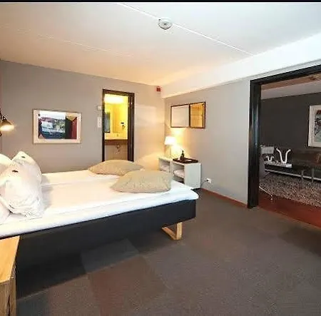 Radisson Blu Hotel, 4*